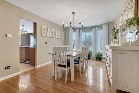 Tiny photo for 300 Wabena Court, Minooka, IL 60447 (MLS # 12530300)