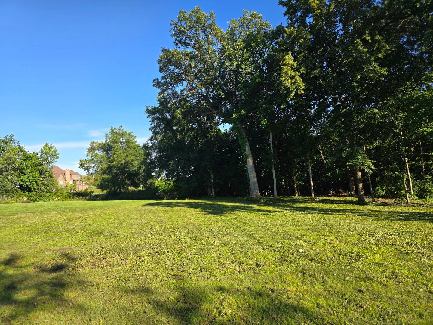 7146 Ironwood Court