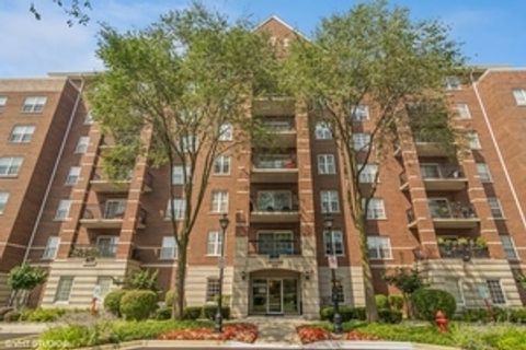 410 W Mahogany Court 305 Palatine IL 60067