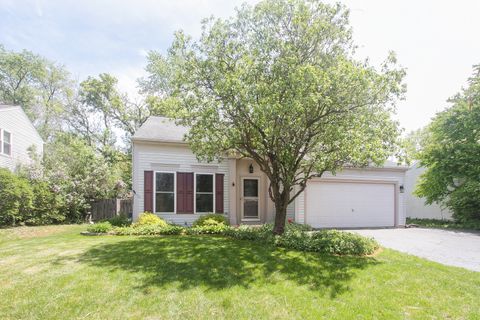 1425 MEGHAN Avenue Algonquin IL 60102