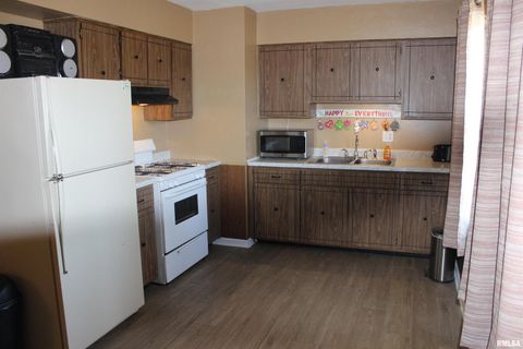 Tiny photo for 3287 Selmaville Road, Salem, IL 62881 (MLS # EB460475)