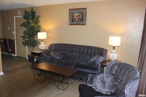 Tiny photo for 3287 Selmaville Road, Salem, IL 62881 (MLS # EB460475)