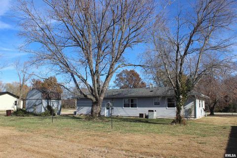 Tiny photo for 3287 Selmaville Road, Salem, IL 62881 (MLS # EB460475)
