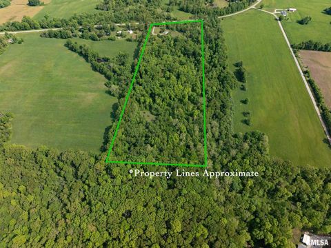 Tiny photo for 15751 E Tolle Road, Mt Vernon, IL 62864 (MLS # EB457898)