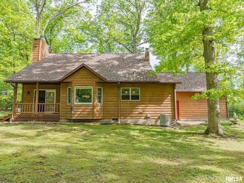 Tiny photo for 15751 E Tolle Road, Mt Vernon, IL 62864 (MLS # EB457898)