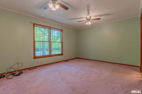 Tiny photo for 15751 E Tolle Road, Mt Vernon, IL 62864 (MLS # EB457898)