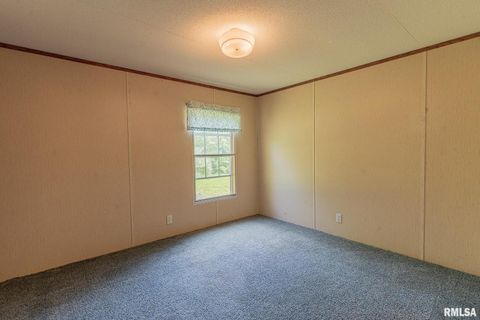 Tiny photo for 15751 E Tolle Road, Mt Vernon, IL 62864 (MLS # EB457898)