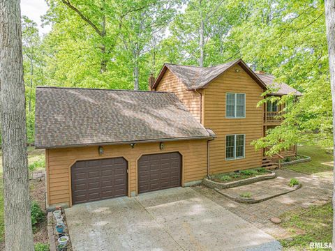 Tiny photo for 15751 E Tolle Road, Mt Vernon, IL 62864 (MLS # EB457898)