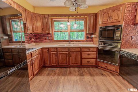 Tiny photo for 15751 E Tolle Road, Mt Vernon, IL 62864 (MLS # EB457898)