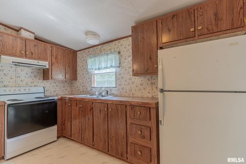 Tiny photo for 15751 E Tolle Road, Mt Vernon, IL 62864 (MLS # EB457898)