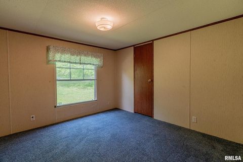 Tiny photo for 15751 E Tolle Road, Mt Vernon, IL 62864 (MLS # EB457898)