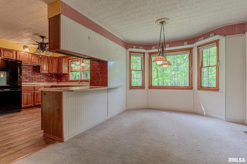 Tiny photo for 15751 E Tolle Road, Mt Vernon, IL 62864 (MLS # EB457898)