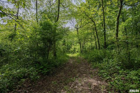 Tiny photo for 15751 E Tolle Road, Mt Vernon, IL 62864 (MLS # EB457898)