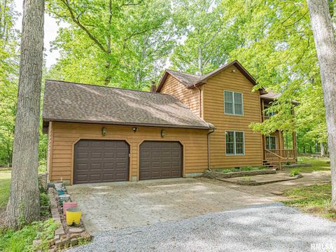 Tiny photo for 15751 E Tolle Road, Mt Vernon, IL 62864 (MLS # EB457898)