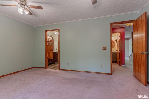 Tiny photo for 15751 E Tolle Road, Mt Vernon, IL 62864 (MLS # EB457898)