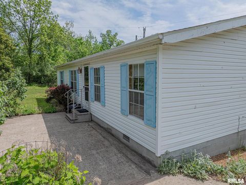 Tiny photo for 15751 E Tolle Road, Mt Vernon, IL 62864 (MLS # EB457898)