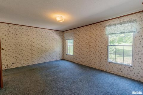 Tiny photo for 15751 E Tolle Road, Mt Vernon, IL 62864 (MLS # EB457898)