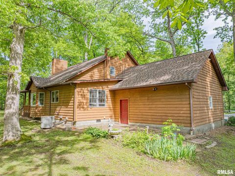 Tiny photo for 15751 E Tolle Road, Mt Vernon, IL 62864 (MLS # EB457898)