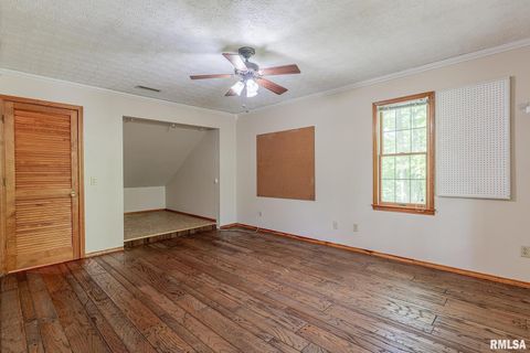 Tiny photo for 15751 E Tolle Road, Mt Vernon, IL 62864 (MLS # EB457898)