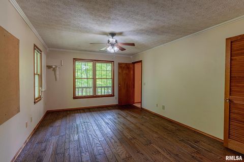 Tiny photo for 15751 E Tolle Road, Mt Vernon, IL 62864 (MLS # EB457898)
