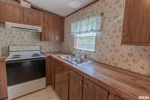 Tiny photo for 15751 E Tolle Road, Mt Vernon, IL 62864 (MLS # EB457898)