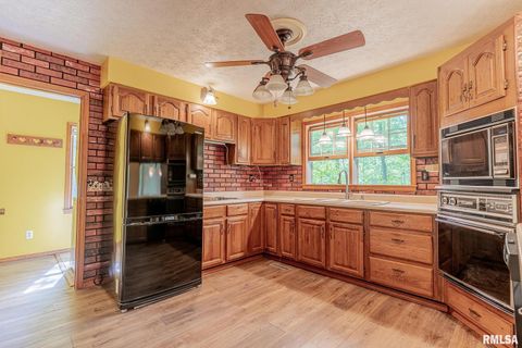 Tiny photo for 15751 E Tolle Road, Mt Vernon, IL 62864 (MLS # EB457898)