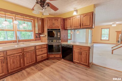 Tiny photo for 15751 E Tolle Road, Mt Vernon, IL 62864 (MLS # EB457898)