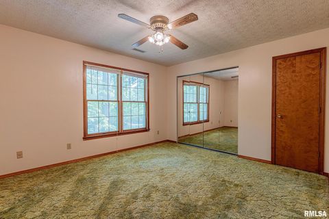 Tiny photo for 15751 E Tolle Road, Mt Vernon, IL 62864 (MLS # EB457898)