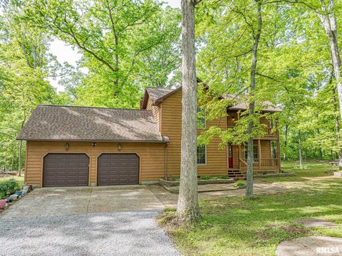 Tiny photo for 15751 E Tolle Road, Mt Vernon, IL 62864 (MLS # EB457898)