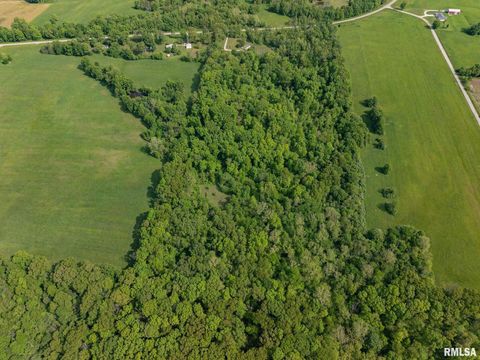 Tiny photo for 15751 E Tolle Road, Mt Vernon, IL 62864 (MLS # EB457898)