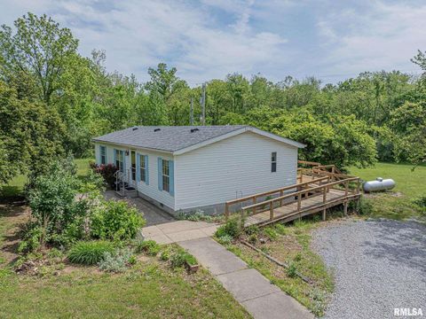 Tiny photo for 15751 E Tolle Road, Mt Vernon, IL 62864 (MLS # EB457898)