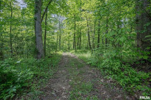 Tiny photo for 15751 E Tolle Road, Mt Vernon, IL 62864 (MLS # EB457898)