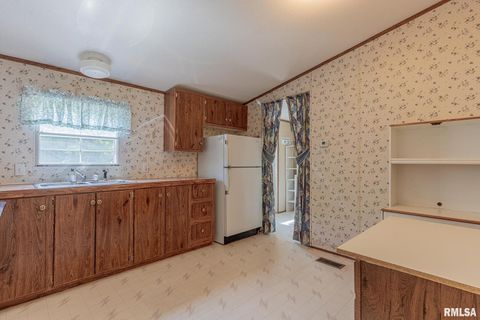 Tiny photo for 15751 E Tolle Road, Mt Vernon, IL 62864 (MLS # EB457898)