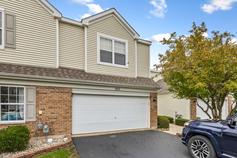 Photo of 302 Parkside Drive, Shorewood, IL 60404 (MLS # 12623189)