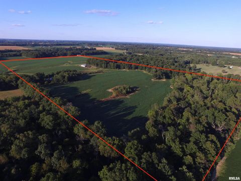 Photo of 9647 E Barat Road, Mt Vernon, IL 62864 (MLS # EB459474)