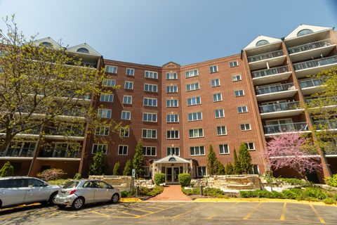 8560 W Foster Avenue 209 Norridge IL 60706