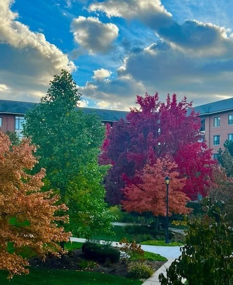 Tiny photo for 875 E 22nd Street #204, Lombard, IL 60148 (MLS # 12565554)