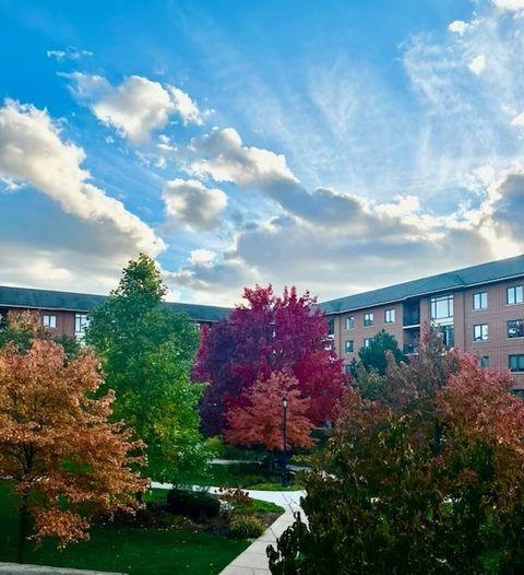 Tiny photo for 875 E 22nd Street #204, Lombard, IL 60148 (MLS # 12565554)