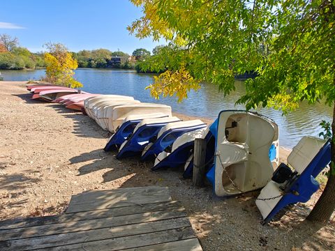 Tiny photo for 5807 Oakwood Drive #C, Lisle, IL 60532 (MLS # 12495195)