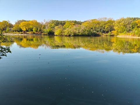 Tiny photo for 5807 Oakwood Drive #C, Lisle, IL 60532 (MLS # 12495195)