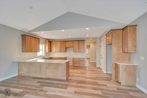 Tiny photo for 1185 S Farmstone Drive, Diamond, IL 60416 (MLS # 12505529)