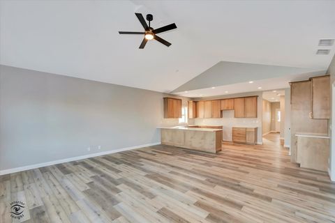 Tiny photo for 1185 S Farmstone Drive, Diamond, IL 60416 (MLS # 12505529)