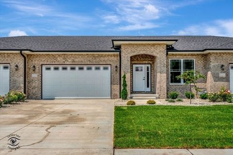 Photo of 362 White Hawk Way, Manteno, IL 60950 (MLS # 12435362)
