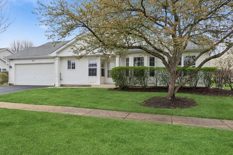 Photo of 217 Kathryn Lane, North Aurora, IL 60542 (MLS # 12616737)