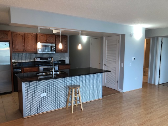 3115 S Michigan Avenue 101