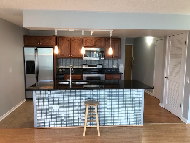 3115 S Michigan Avenue 101