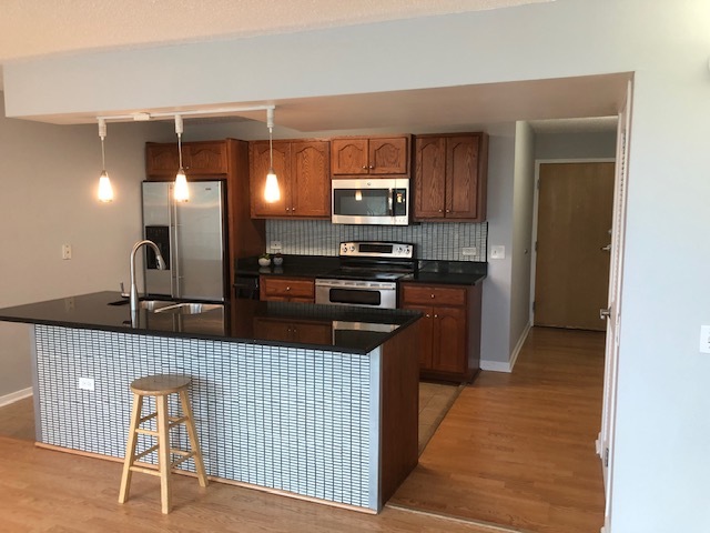 3115 S Michigan Avenue 101