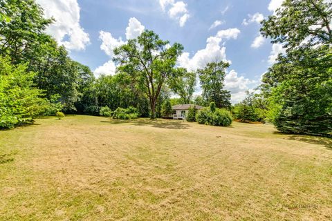 Tiny photo for 16705 Wolf Road, Orland Park, IL 60467 (MLS # 12420511)