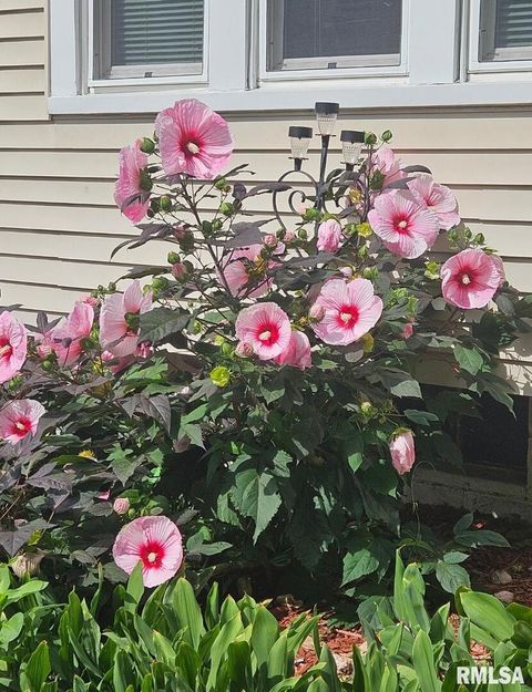 Tiny photo for 727 E CENTRAL PARK Avenue, Davenport, IA 52803 (MLS # QC4269631)