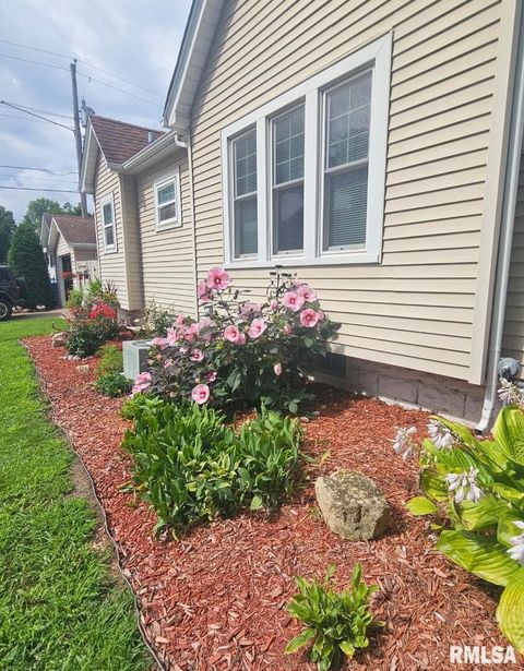 Tiny photo for 727 E CENTRAL PARK Avenue, Davenport, IA 52803 (MLS # QC4269631)